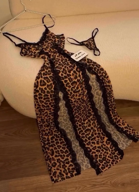 Léopard 🐆 Long 🤎